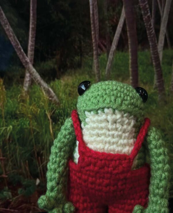 🐸🧶 Cozy Kate’s Frog Amigurumi Crochet Pattern – Charming Plush Friend with Wire Armature ✨🪡 - Image 3