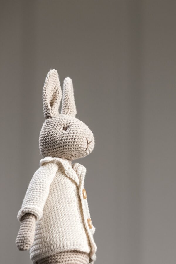 🐇 Elegant Bunny Couple Crochet Pattern – Mr & Mrs Bunny with Outfits | Detailed Amigurumi Set PDF - Image 10